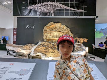 大阪市立自然史博物館に投稿された画像（2023/8/14）