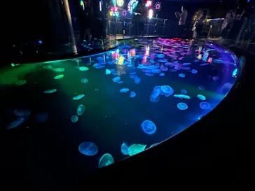 すみだ水族館に投稿された画像（2023/8/14）