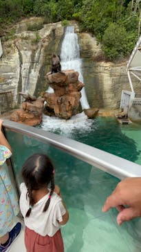 城崎マリンワールドに投稿された画像（2023/8/14）