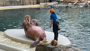 城崎マリンワールドに投稿された画像（2023/8/14）