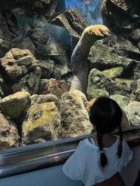 城崎マリンワールドに投稿された画像（2023/8/14）