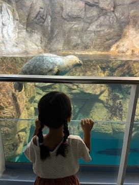 城崎マリンワールドに投稿された画像（2023/8/14）