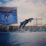 名古屋港水族館に投稿された画像（2023/8/15）