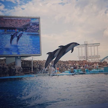 名古屋港水族館に投稿された画像（2023/8/14）