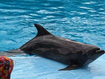 南知多ビーチランド＆南知多おもちゃ王国に投稿された画像（2023/8/14）