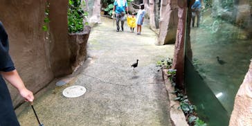 那須どうぶつ王国に投稿された画像（2023/8/14）