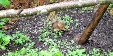 那須どうぶつ王国に投稿された画像（2023/8/14）