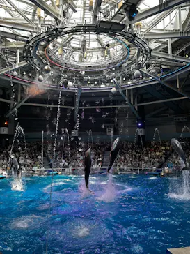 マクセル アクアパーク品川に投稿された画像（2023/8/14）