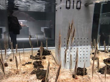 AOAO SAPPOROに投稿された画像（2023/8/14）