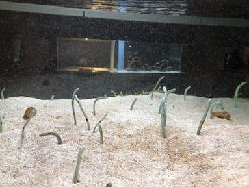 AOAO SAPPOROに投稿された画像（2023/8/14）