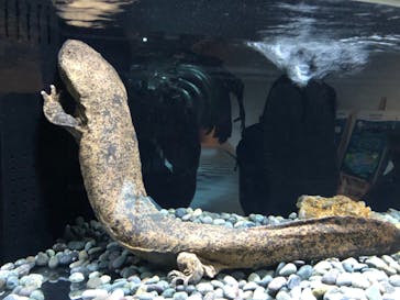 AOAO SAPPOROに投稿された画像（2023/8/14）