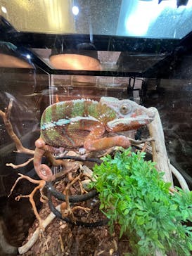 NARA IKIMONO MUSEUMに投稿された画像（2023/8/14）