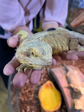 NARA IKIMONO MUSEUMに投稿された画像（2023/8/14）