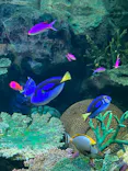 サンシャイン水族館に投稿された画像（2023/8/15）