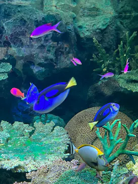 サンシャイン水族館に投稿された画像（2023/8/14）