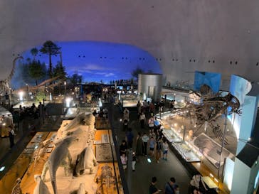 福井県立恐竜博物館に投稿された画像（2023/8/14）