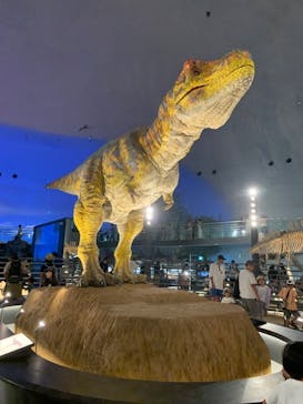 福井県立恐竜博物館に投稿された画像（2023/8/14）