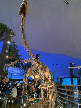 福井県立恐竜博物館に投稿された画像（2023/8/14）