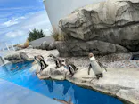 仙台うみの杜水族館に投稿された画像（2023/8/15）
