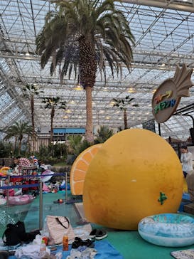 東京サマーランドに投稿された画像（2023/8/15）