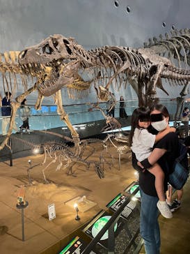 福井県立恐竜博物館に投稿された画像（2023/8/15）