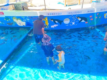 越前松島水族館に投稿された画像（2023/8/15）