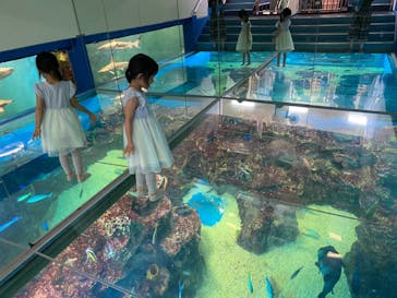 越前松島水族館に投稿された画像（2023/8/15）