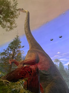 福井県立恐竜博物館に投稿された画像（2023/8/15）