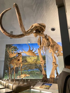 福井県立恐竜博物館に投稿された画像（2023/8/15）