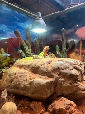 NARA IKIMONO MUSEUMに投稿された画像（2023/8/15）