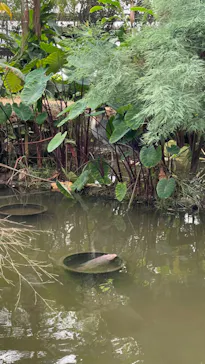 神戸どうぶつ王国に投稿された画像（2023/8/15）