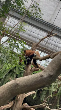 神戸どうぶつ王国に投稿された画像（2023/8/15）