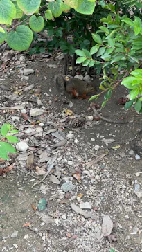 神戸どうぶつ王国に投稿された画像（2023/8/15）