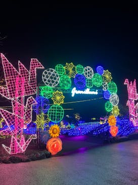 伊豆ぐらんぱる公園に投稿された画像（2023/8/15）