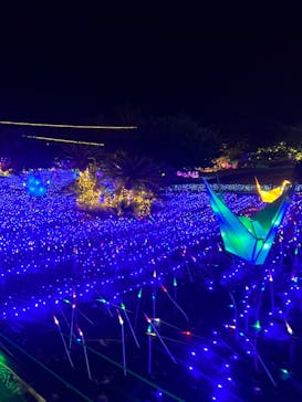 伊豆ぐらんぱる公園に投稿された画像（2023/8/15）