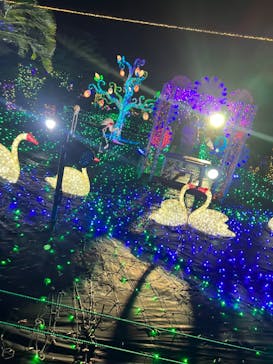 伊豆ぐらんぱる公園に投稿された画像（2023/8/15）