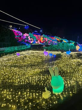 伊豆ぐらんぱる公園に投稿された画像（2023/8/15）