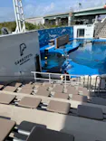 仙台うみの杜水族館に投稿された画像（2023/8/15）