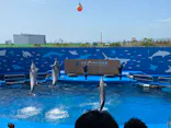 仙台うみの杜水族館に投稿された画像（2023/8/15）