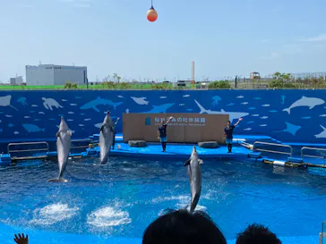 仙台うみの杜水族館に投稿された画像（2023/8/15）