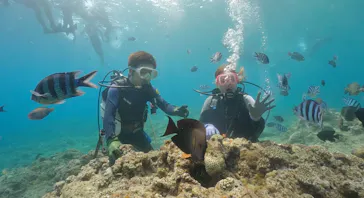 武藤潜水に投稿された画像（2023/8/15）