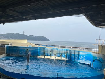 新江ノ島水族館に投稿された画像（2023/8/15）