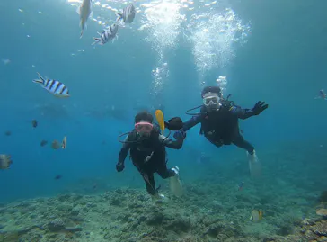 武藤潜水に投稿された画像（2023/8/15）