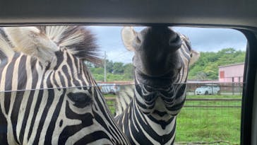 東北サファリパークに投稿された画像（2023/8/15）