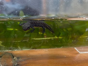 東北サファリパークに投稿された画像（2023/8/15）