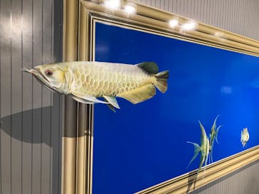 とりっくあーとぴあ日光に投稿された画像（2023/8/15）