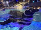 すみだ水族館に投稿された画像（2023/8/15）