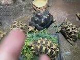 サンシャイン水族館に投稿された画像（2023/8/15）