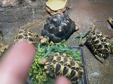 サンシャイン水族館に投稿された画像（2023/8/15）