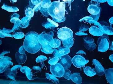 AOAO SAPPOROに投稿された画像（2023/8/15）